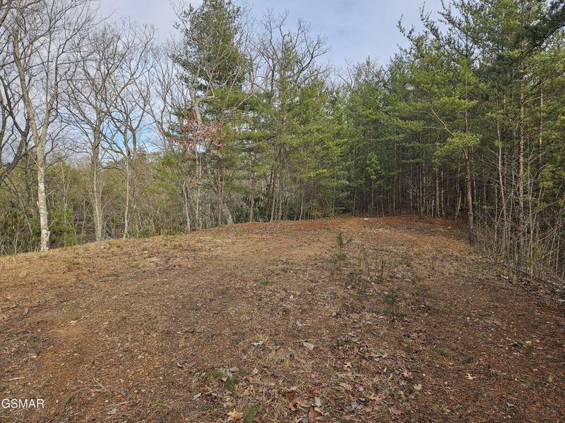 0 S Clear Fork Rd Lot 28, Sevierville, TN 37862