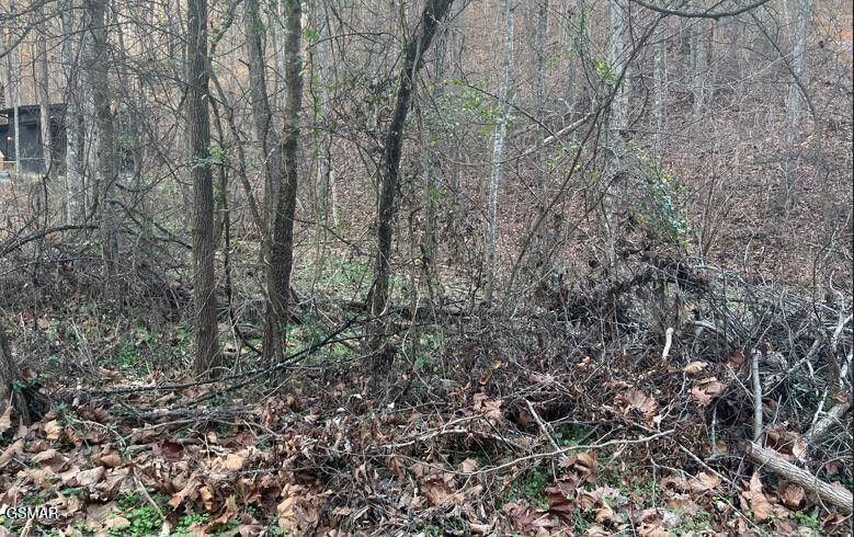 6 Spotted Fawn Way Lot 6A, Sevierville, TN 37876