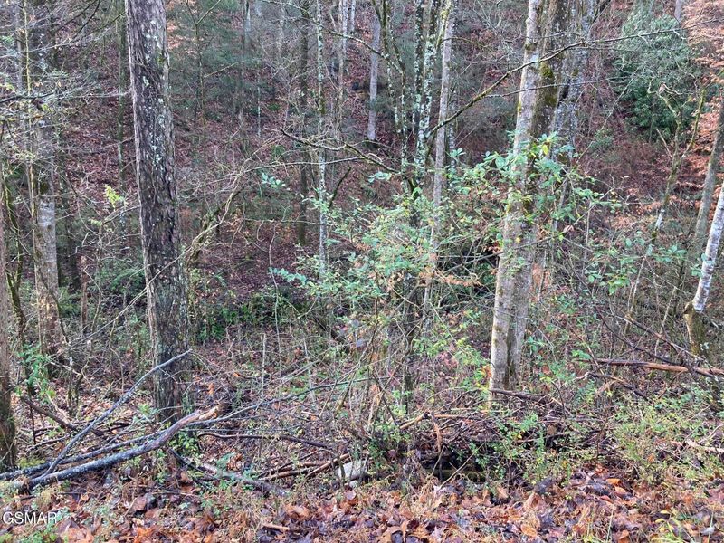53 Fiesta Blvd Lot 53A, Sevierville, TN 37876