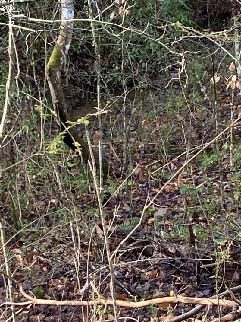 53 Fiesta Blvd Lot 53A, Sevierville, TN 37876