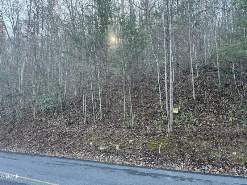57 Whetstone Rd Lot 57, Sevierville, TN 37862