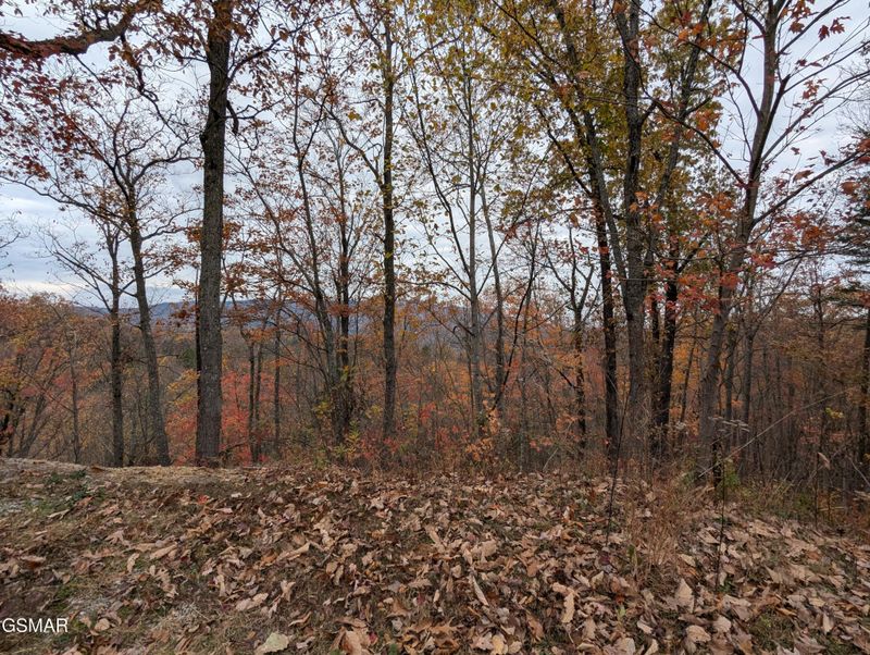 2313 Grey Fox Run Dr Lot 13, Sevierville, TN 37862