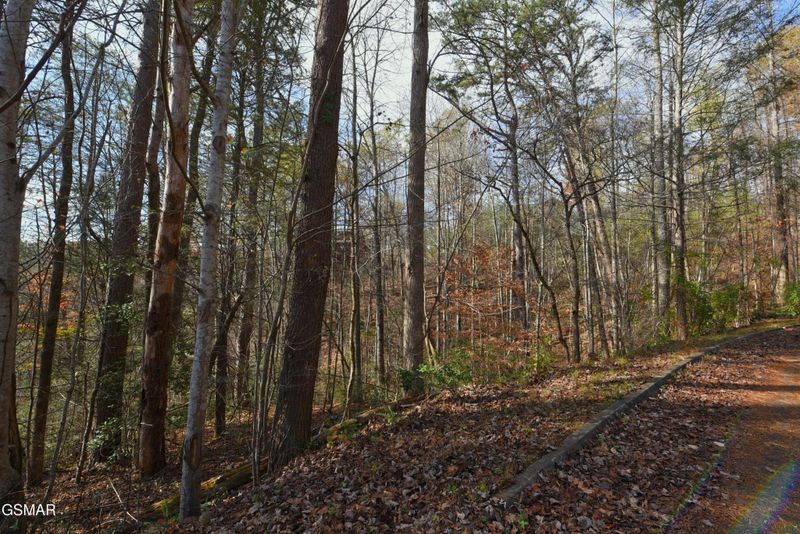 9 Legend Dr Lot 9, Sevierville, TN 37876