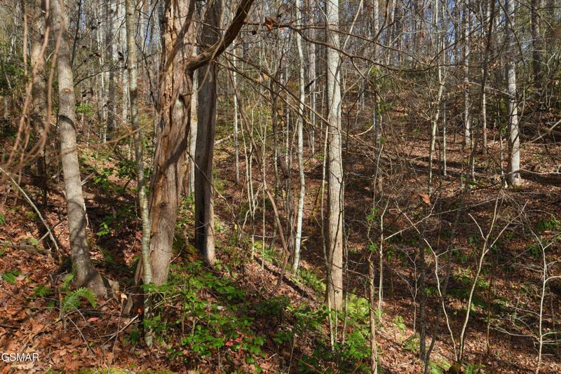 3 Legend Dr Lot 3, Sevierville, TN 37876