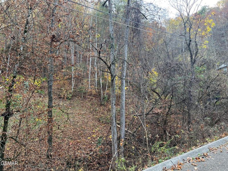 6 Pulaski Ln Lot 6, Sevierville, TN 37862