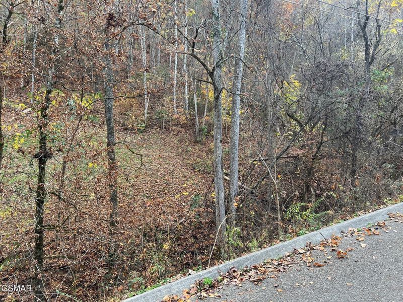 6 Pulaski Ln Lot 6, Sevierville, TN 37862