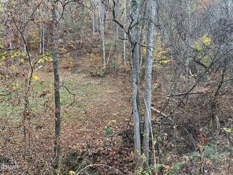 6 Pulaski Ln Lot 6, Sevierville, TN 37862