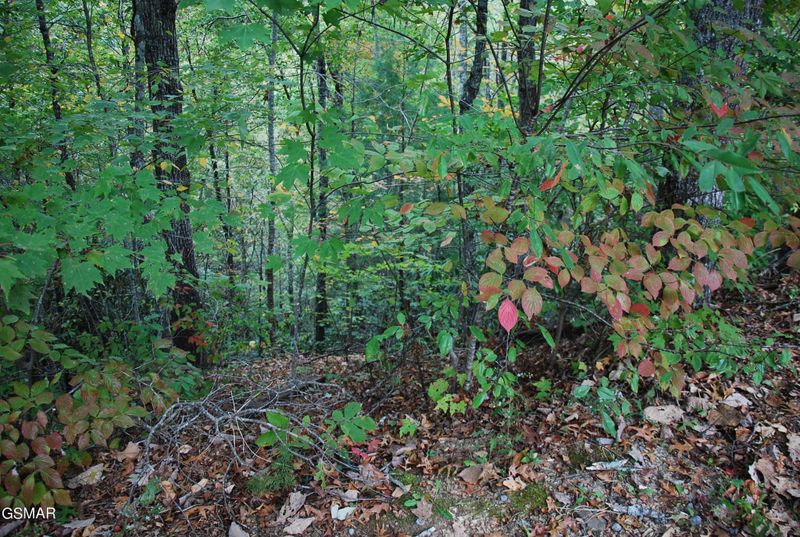 2017 Ridgecrest Loop Ln Lot 25, Sevierville, TN 37876