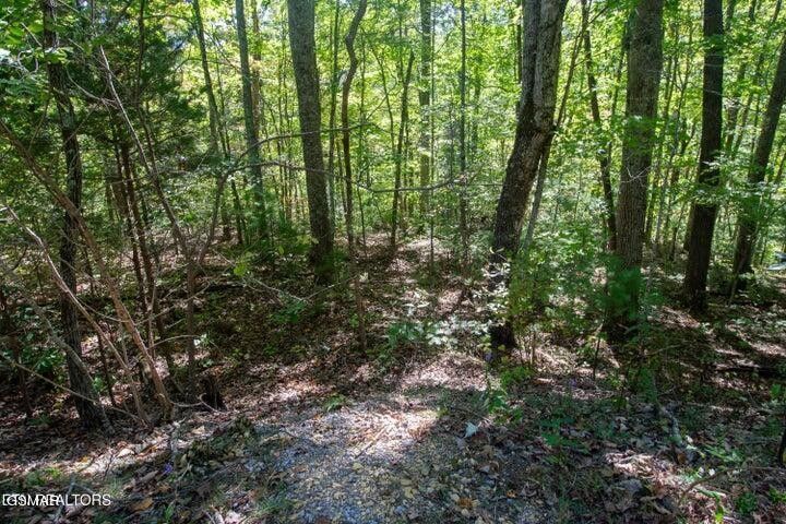 8 Hatcher Top Rd Lot 8, Sevierville, TN 37862