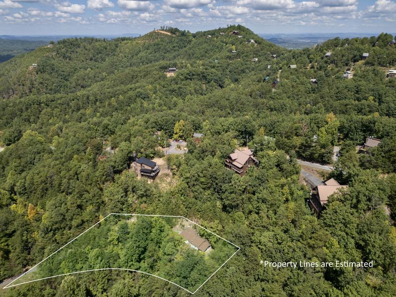 1046 Bryan View Rd, Sevierville, TN 37862