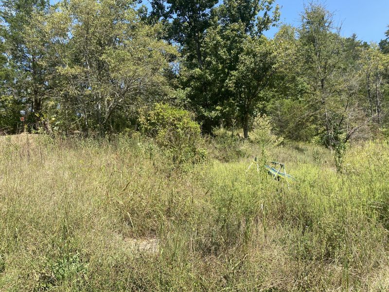520 Ingle Hollow Rd Lot PO55, Sevierville, TN 37876
