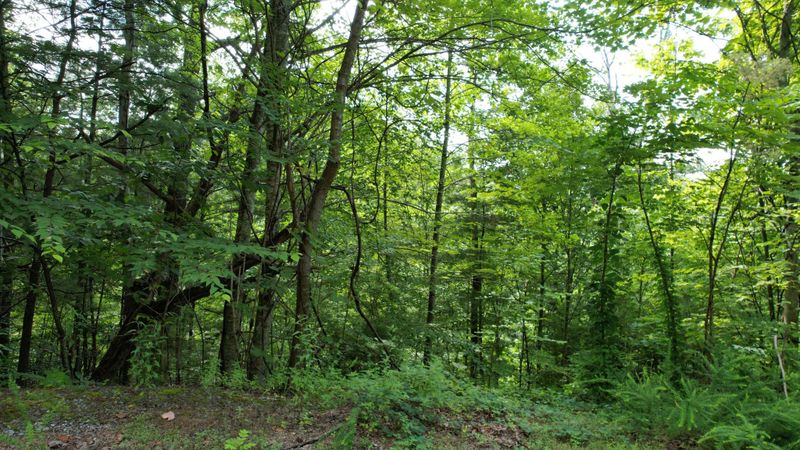 98 Black Powder Ln Lot 98E, Sevierville, TN 37862