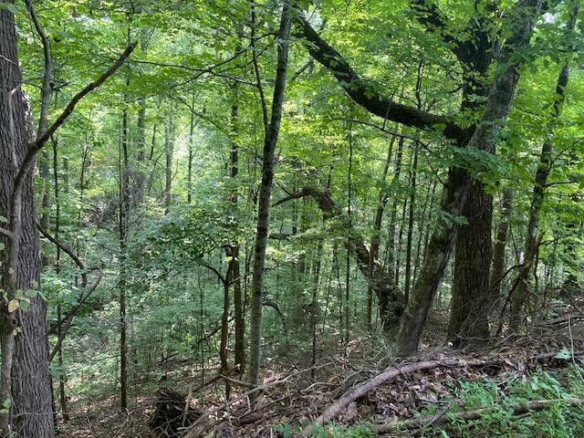 564 Silver Poplar Ln Lot 0564, Sevierville, TN 37876