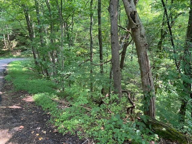 564 Silver Poplar Ln Lot 0564, Sevierville, TN 37876