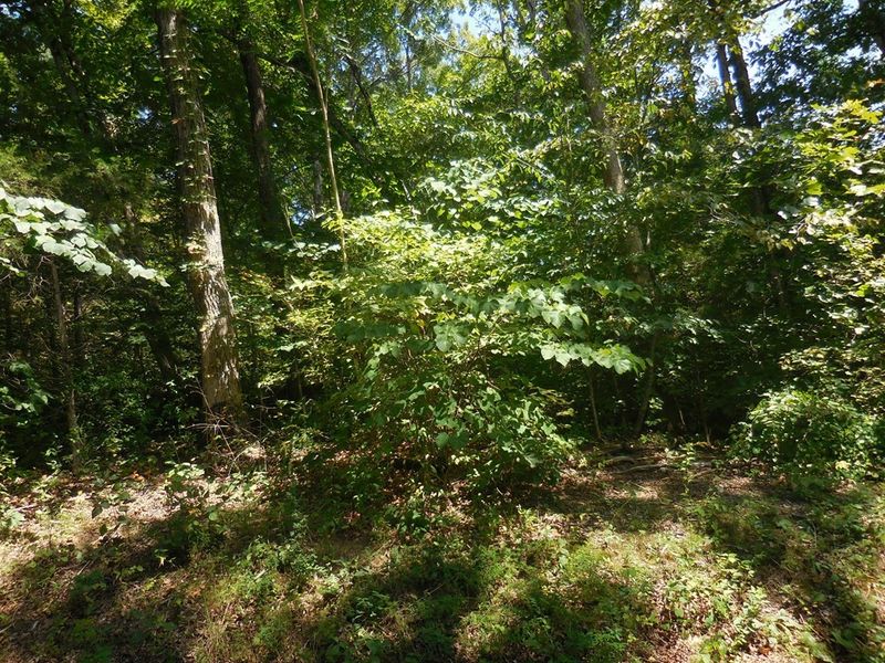 68 Sandy Point Ln Lot 68, Sevierville, TN 37876