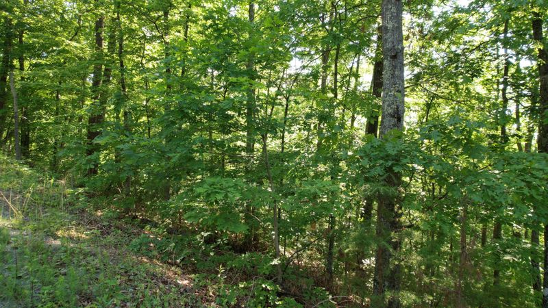 2836 Shady Oaks Way Lot 28&36, Sevierville, TN 37876