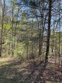 1041 S New Era Rd Lot 00, Sevierville, TN 37876