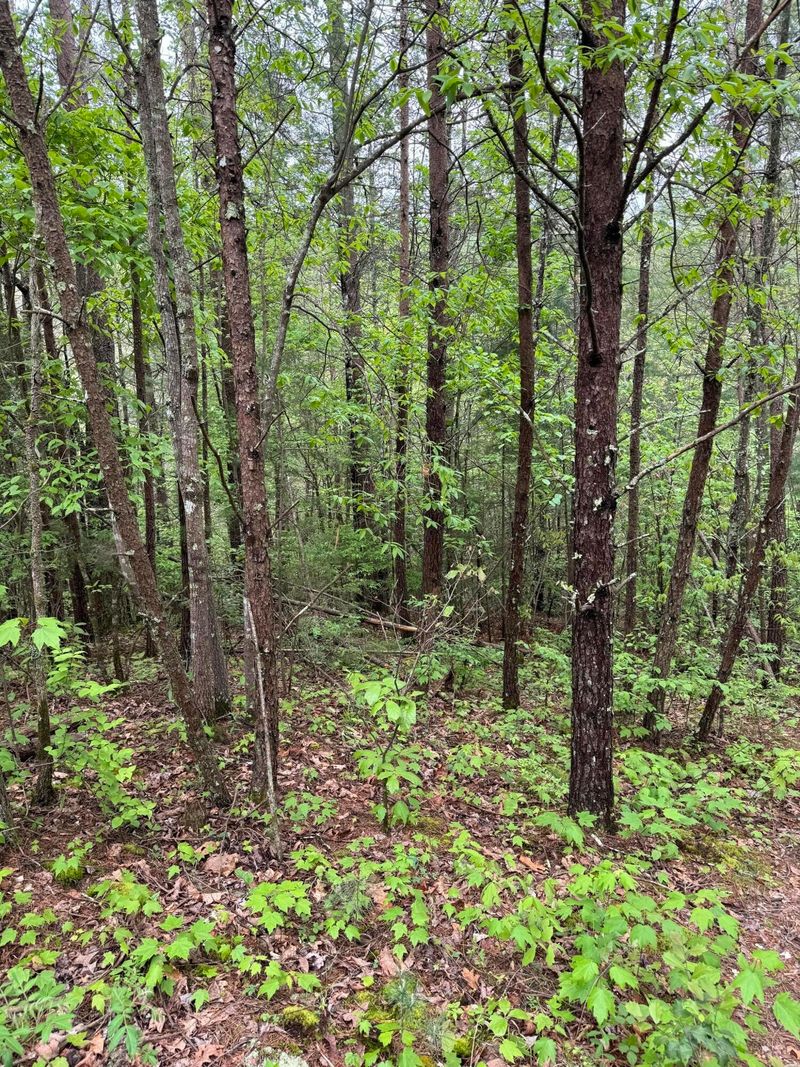 5018 Bogard Rd Lot 80702&3, Sevierville, TN 37876