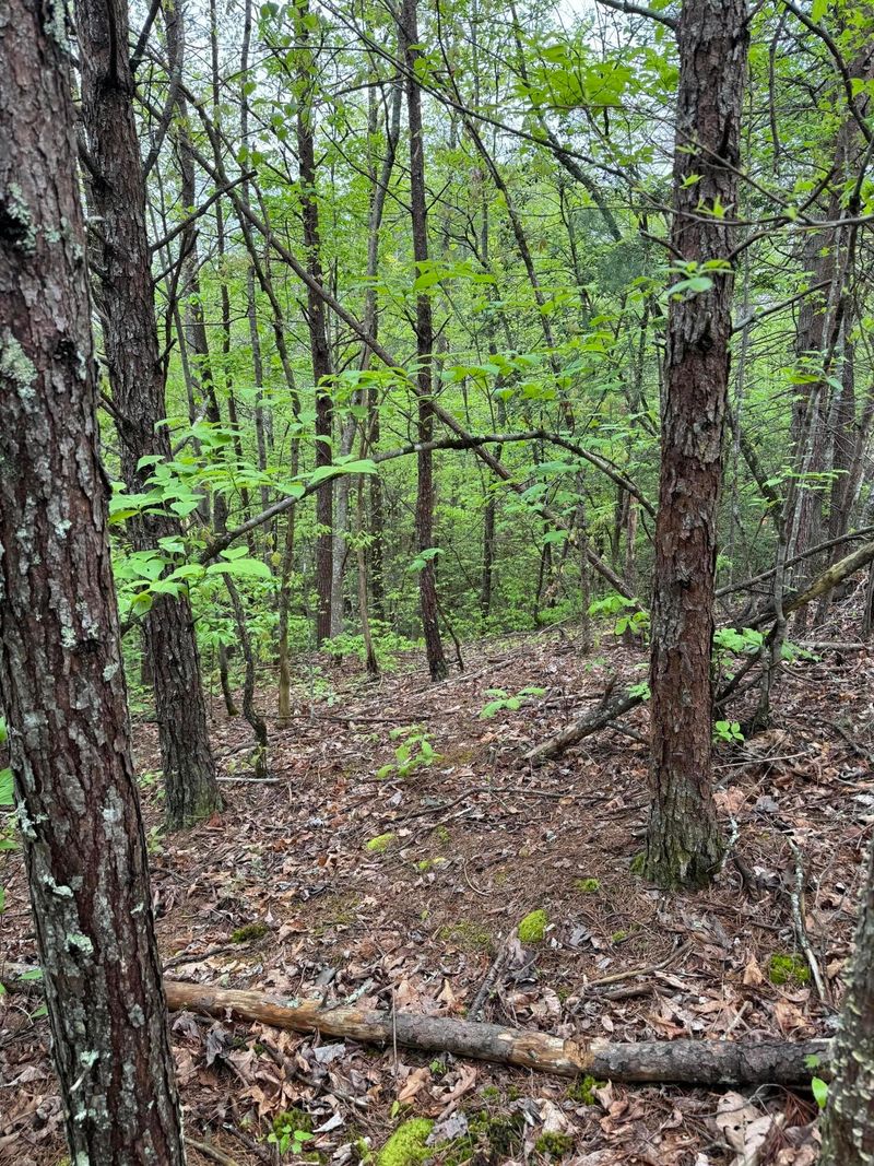 5018 Bogard Rd Lot 80702&3, Sevierville, TN 37876