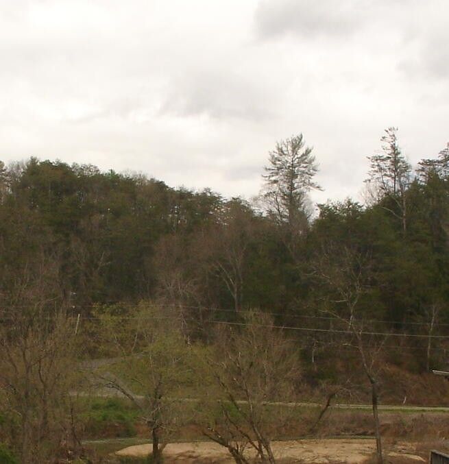 1 Jones Cv Lot 1, Sevierville, TN 37876
