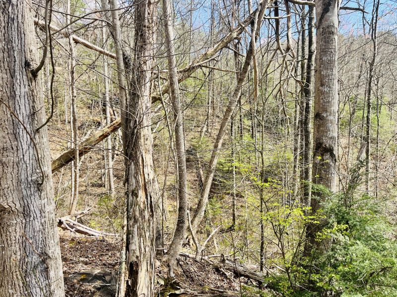 3 Sassafras Trl Lot 3, Sevierville, TN 37876