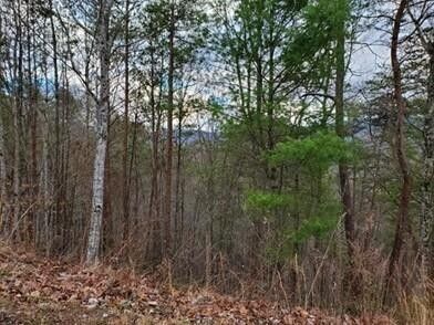 9 Fox Hunters Ln Lot 9, Sevierville, TN 37876