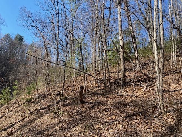 1765 Red Bud Rd Lot 1765R, Sevierville, TN 37876