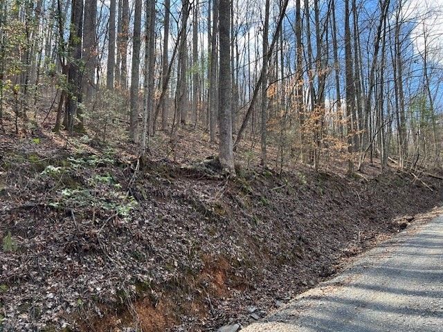 3 Grey Fox Rn Lot 3, Sevierville, TN 37862
