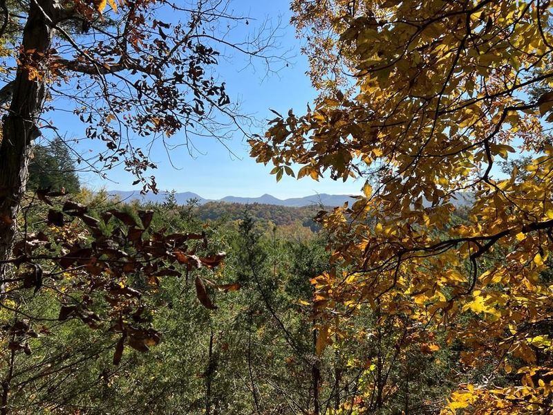 0 Manning Hollow Rd Lot 4, Sevierville, TN 37876