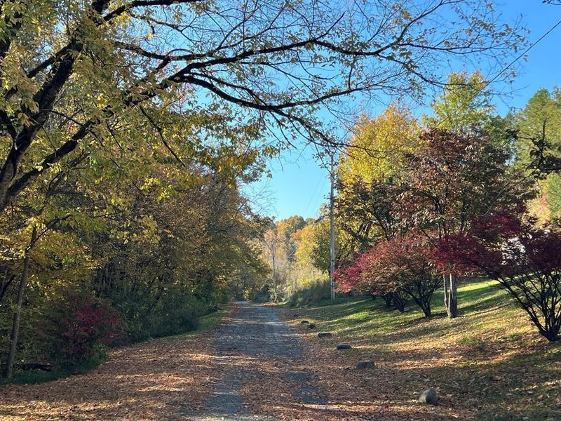 0 Manning Hollow Rd Lot 4, Sevierville, TN 37876