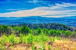 21 Look Rock Crest Dr Lot 21, Maryville, TN 37803