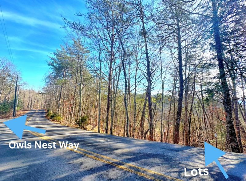 1 Sharp Hollow Rd Lot 1, Sevierville, TN 37862