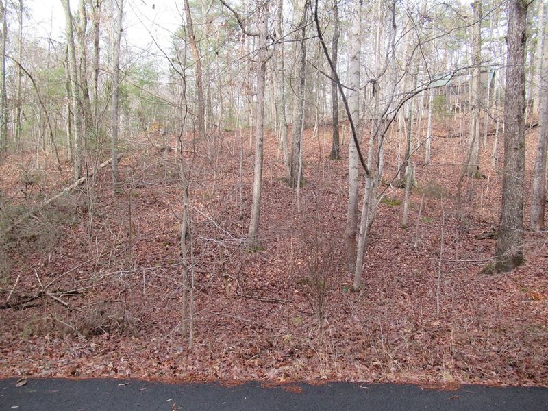 36 Summer Ln Lot 36, Sevierville, TN 37862