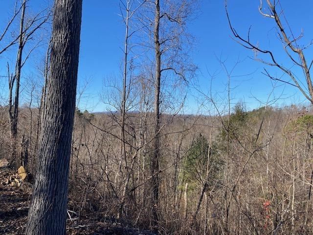 334 Long Hollow Rd Lot 14, Sevierville, TN 37876