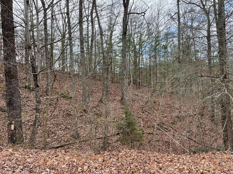 124 Sharp Rd Lot 10, Sevierville, TN 37876