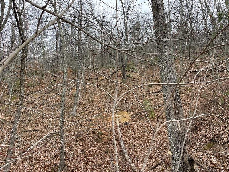 0 Sharp Rd Lot 10, Sevierville, TN 37876