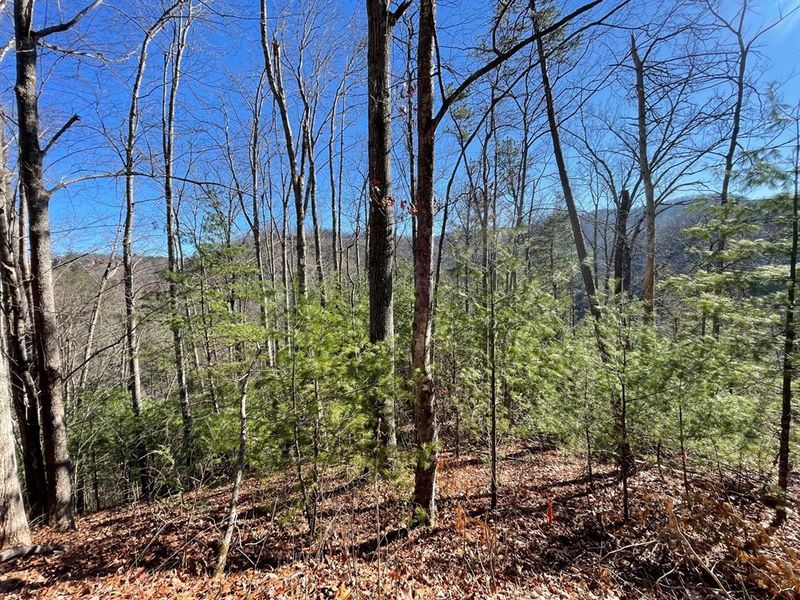 2438 Sunset Rd Lot 11, Sevierville, TN 37862
