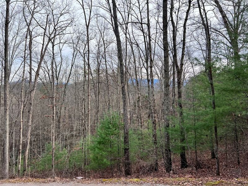 0 Shady Oaks Way Lot 37, Sevierville, TN 37876