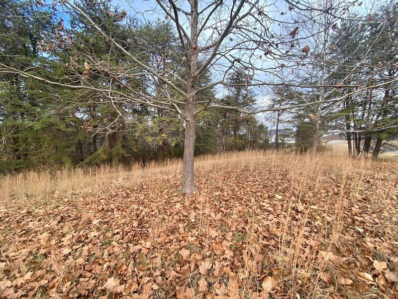 15 River Cliff Dr Lot 15, Sevierville, TN 37862