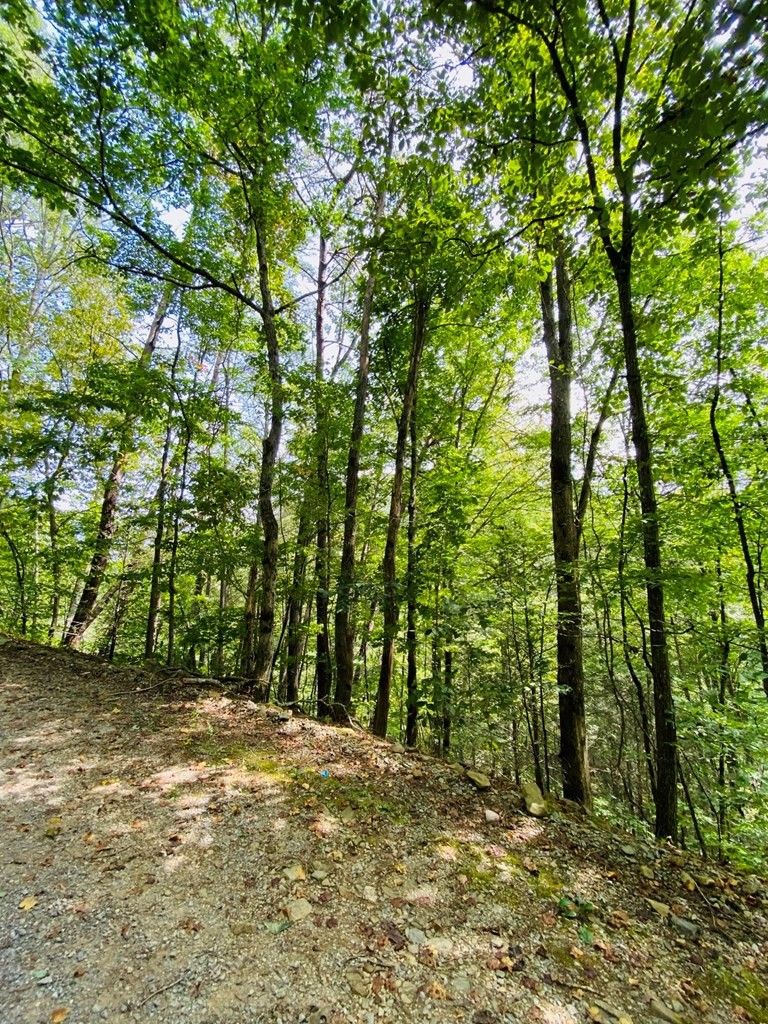 0 Lot 18 Lot 18, Sevierville, TN 37862