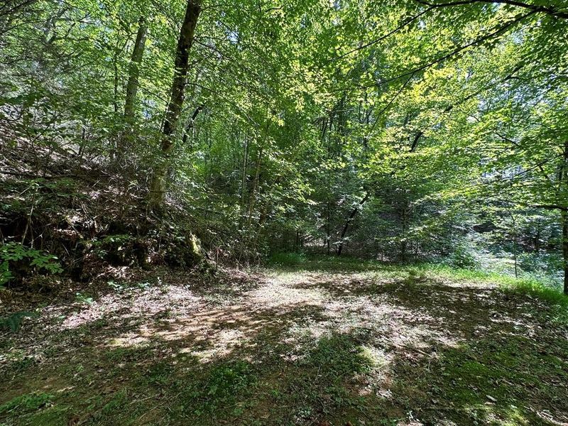 861 Cabin Creek Way Lot 18, Sevierville, TN 37862