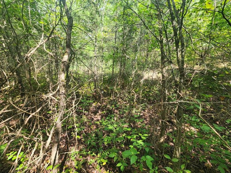 14 Douglas Dam Rd Lot 14, Sevierville, TN 37876