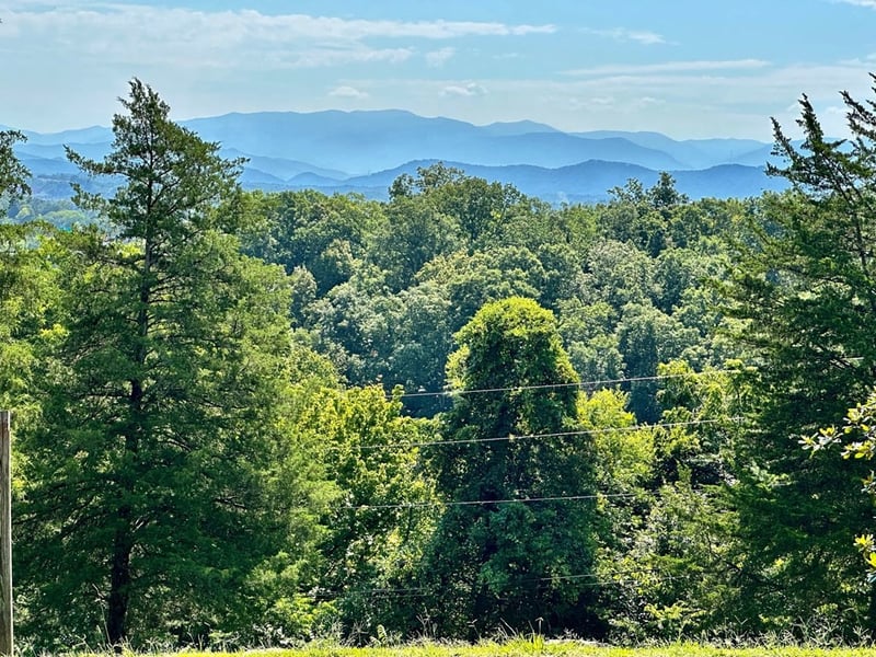 123 Cedar Hills Rd, Sevierville, TN 37863