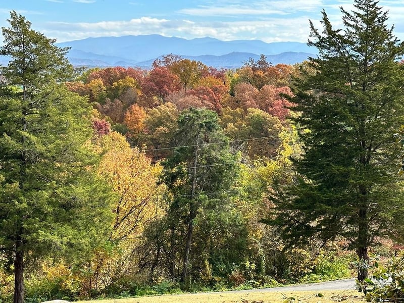123 Cedar Hills Rd, Sevierville, TN 37863