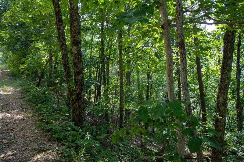 0 Pebbles Mountain Way Lot 54, Sevierville, TN 37862