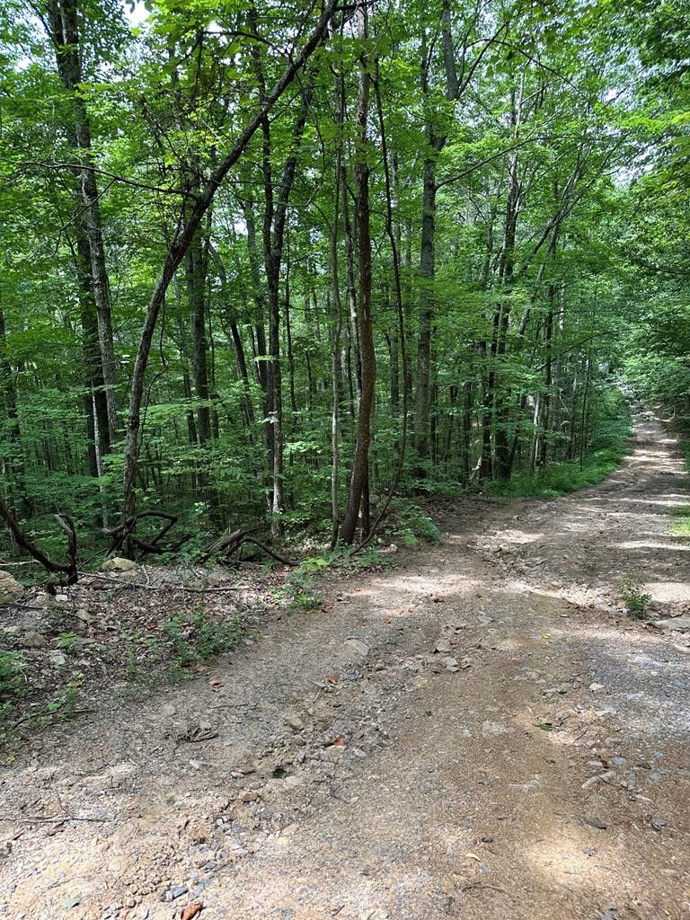 0 Hemlock St Lot 44&45, Sevierville, TN 37876