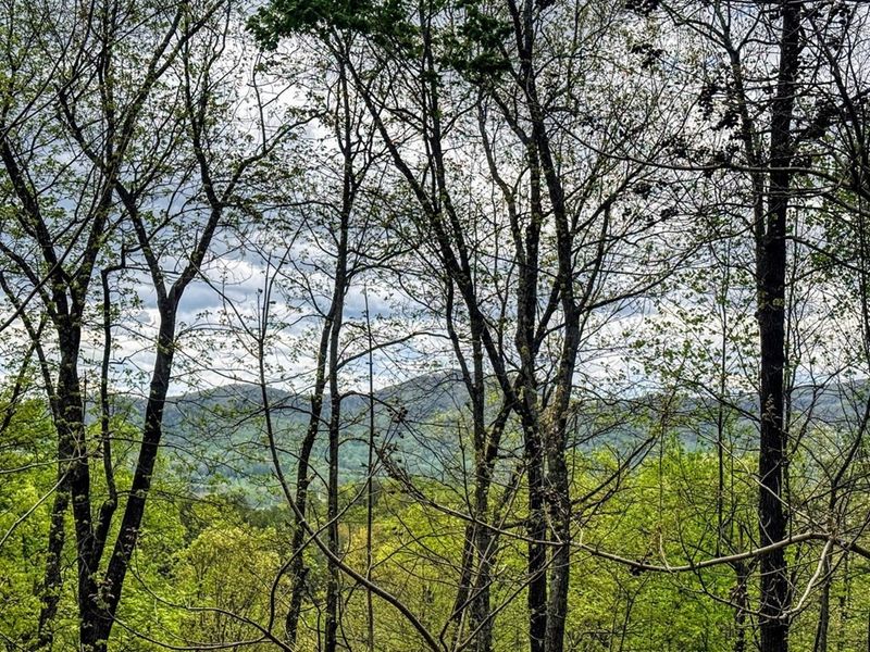 1849 Laurel Valley Way, Sevierville, TN 37862