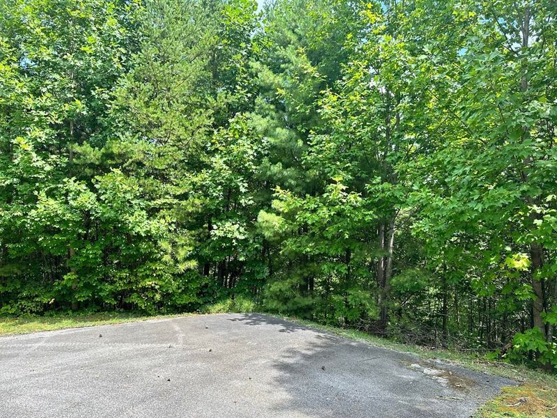 1614 Dove Wing Way Lot 7, Sevierville, TN 37862