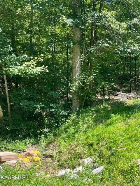 58 Dogwood Ct Lot 58, Sevierville, TN 37876