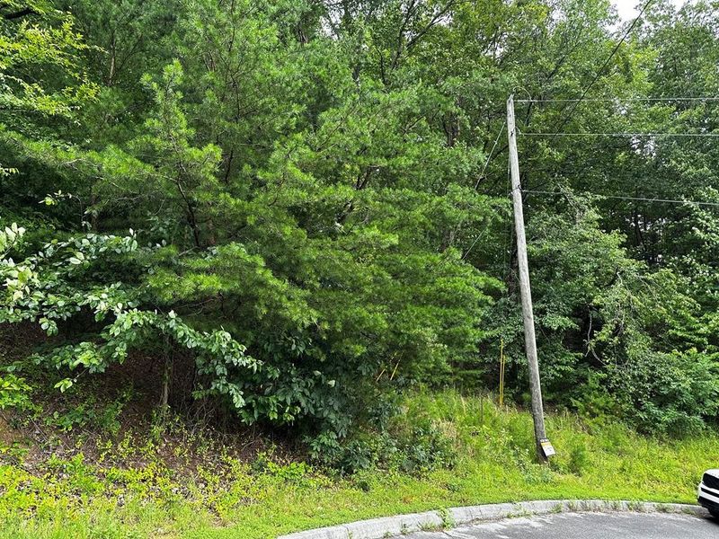 0 Alvins Rg Lot 13, Sevierville, TN 37862